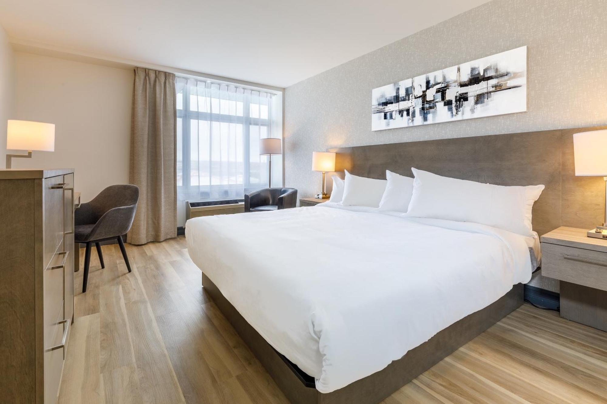 Standard Room 1 King Bed