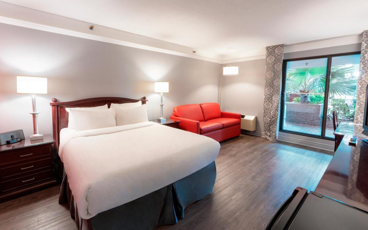 Traditional room, 1 Queen bed - Interior Terrace, garden area,965109319:JPEG