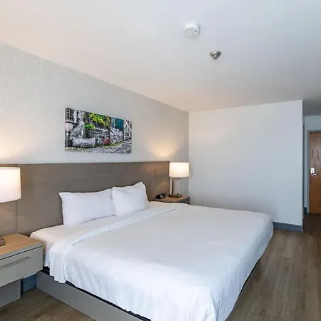 Repotel Henri IV Quebec-3
