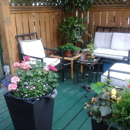 B&B Le Transit-2